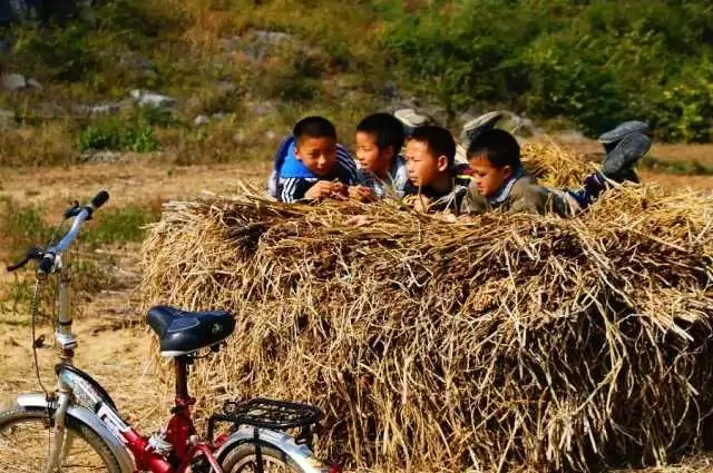 80后的回忆柴垛