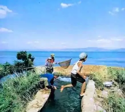 童年美好的回忆