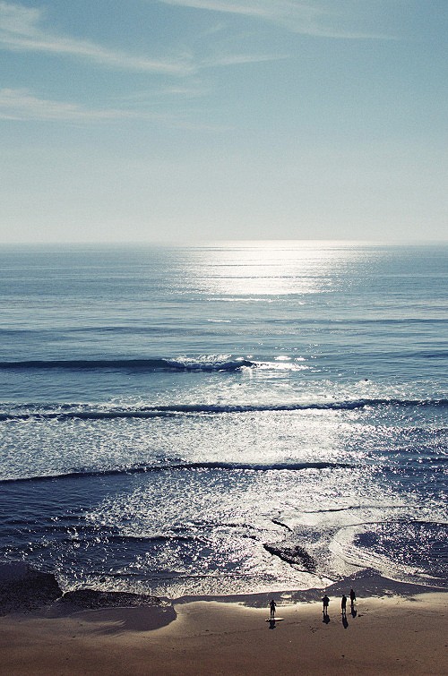 Featured image of post 和Mike的谈话