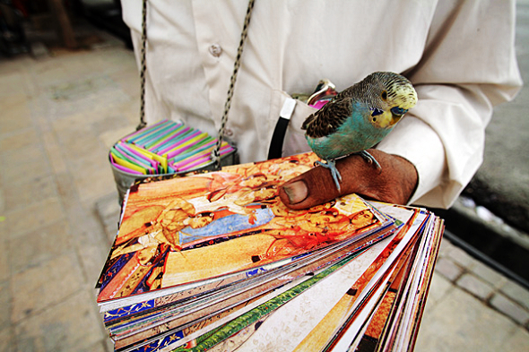 Featured image of post 设拉子的占卜男孩