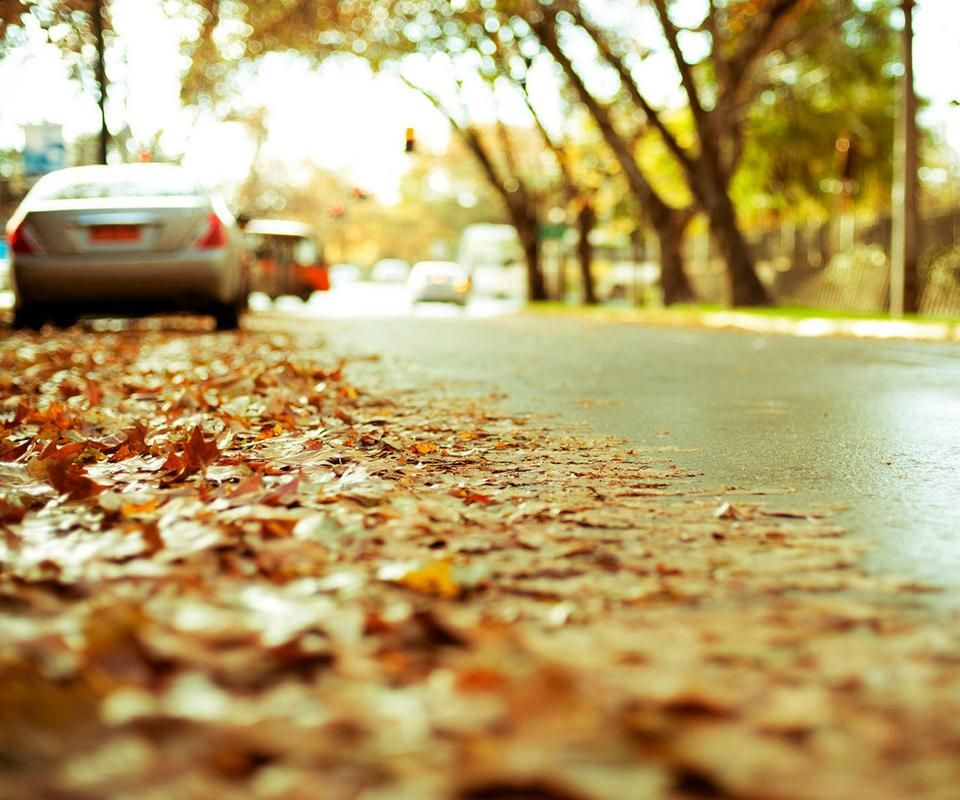 Featured image of post 《梦话》——初始